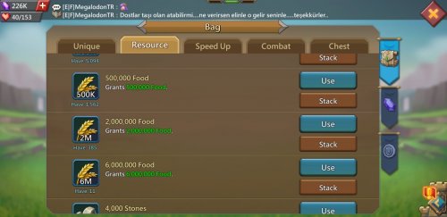 Screenshot_20210519-153536_Lords Mobile.jpg
