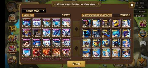 sw (12).jpg