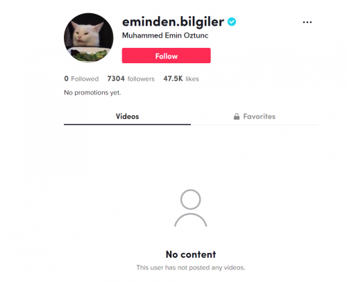 tiktok.PNG