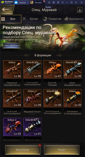 3й.png