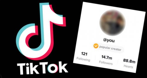 fans-and-followers-on-TikTok.jpg