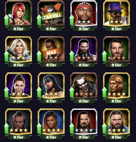wwechamps7.jpeg