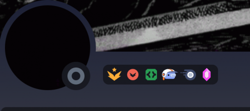 Discord active developer badge