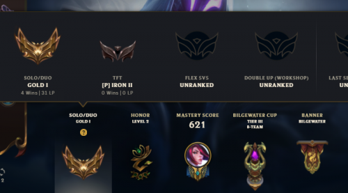 H1.png
