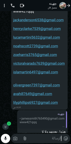 Screenshot_٢٠٢٥٠٤١٠_٠٠٢٩١١_WhatsAppBusiness.png