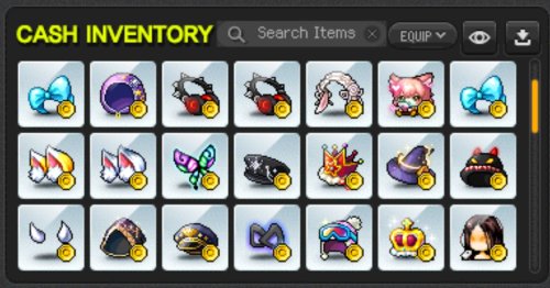 Cashshop 4.jpg