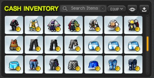 Cashshop 17.jpg