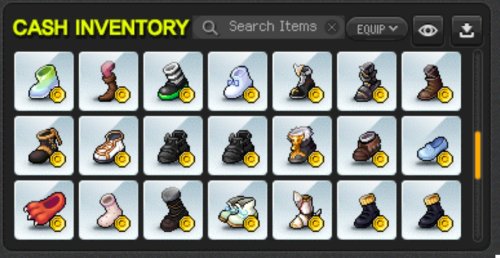 Cashshop 20.jpg