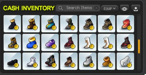 Cashshop 21.jpg