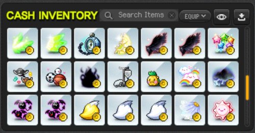 Cashshop 23.jpg