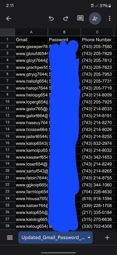 Screenshot_20250530_021122_Sheets.jpg