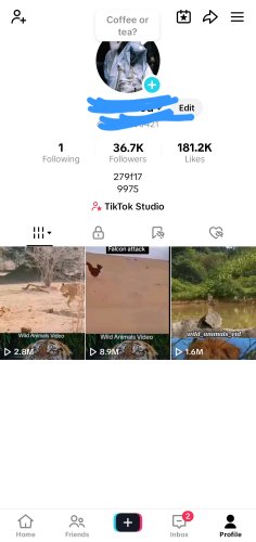 Screenshot_20250613_034158_TikTok.jpg