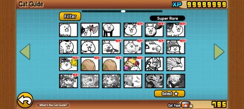 Screenshot_2025-06-16-17-31-26-844_jp.co.ponos.battlecatsen.jpg