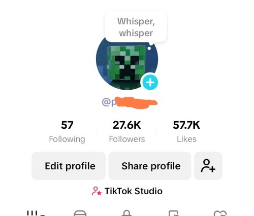 Screenshot_2025-10-06-02-42-55-490_com.zhiliaoapp.musically-edit.jpg
