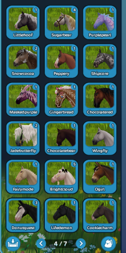 page4.png