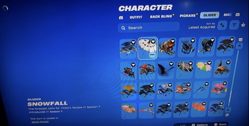 IMG_6385.jpeg
