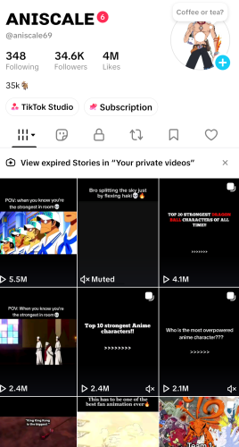 Screenshot_2026-09-14-17-18-13-025_com.zhiliaoapp.musically.png