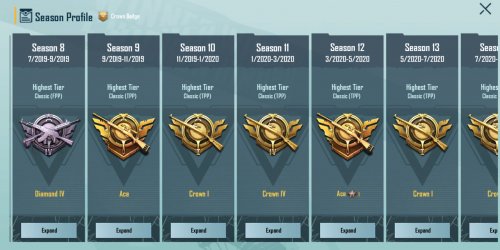 Screenshot_2020-10-17-13-17-17-066_com.tencent.ig.jpg