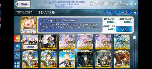 Screenshot_20201229-145038_FateGO.jpg
