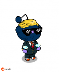 Kryptobull13