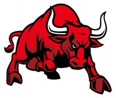 mrbull10