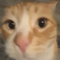 petepaid