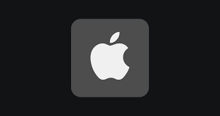NF DEVELOPER
