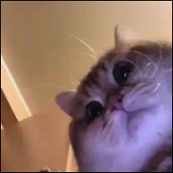 VVV