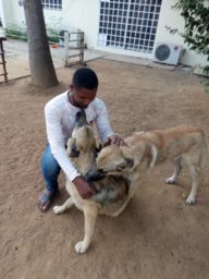 Godwin Edoh