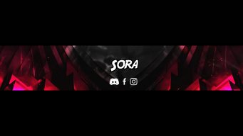Sora's Swap