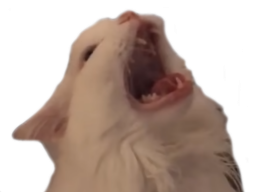 KingRagnar