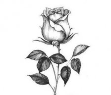 AHSLM