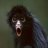 micromonkey