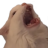 KingRagnar