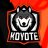 ilKoyote